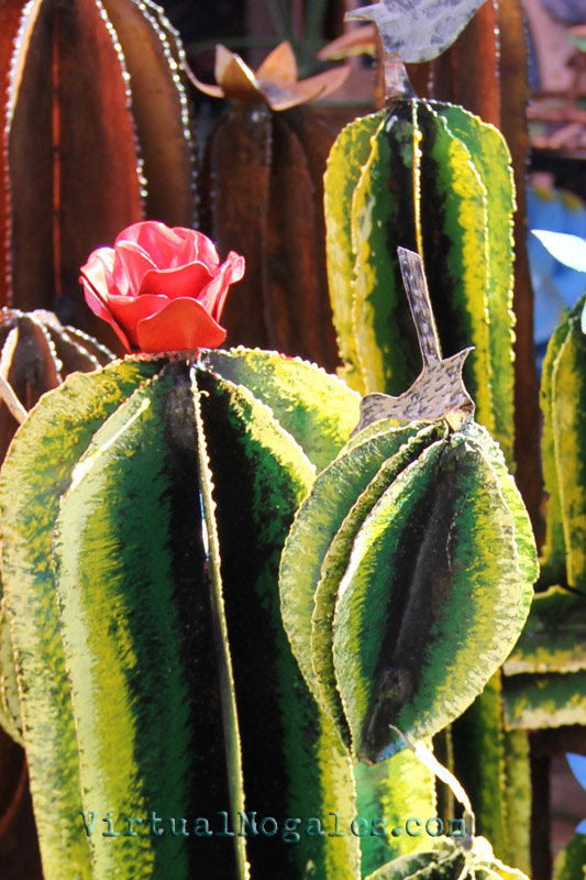 metal cactus curios in nogales